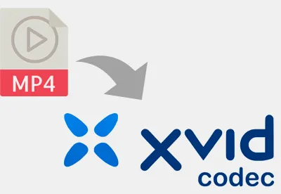 convert mp4 to xvid