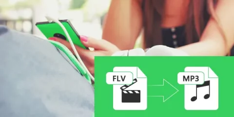 flv to mp3